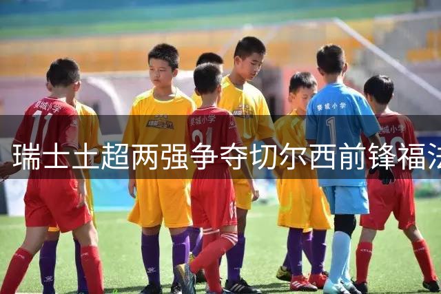瑞士土超两强争夺切尔西前锋福法纳